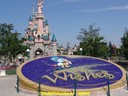 DSC08071.jpg