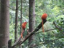 IMG_0782.JPG