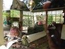 DSC04052.JPG