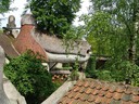 DSC04073.JPG