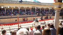 DSC00085.JPG