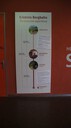 Filename=DSC08235.JPG
Filesize=110KiB
Dimensions=448x800
Date added=May 07, 2022 DSC08235.JPG