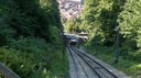 DSC08245.JPG