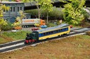 DSC07287.JPG