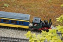 DSC07309.JPG