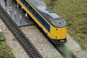 DSC07441.JPG