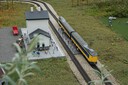 DSC07442.JPG