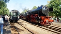 DSC06566.JPG