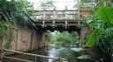 DSC01408.JPG