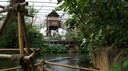 DSC01416.JPG