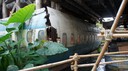 DSC01418.JPG