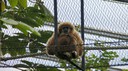 DSC01420.JPG