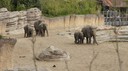 DSC01421.JPG