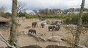 DSC01427.JPG