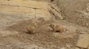 DSC01432.JPG
