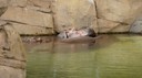 DSC01434.JPG