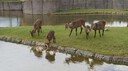 DSC01449.JPG