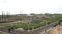 DSC01450.JPG