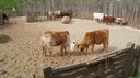DSC01451.JPG