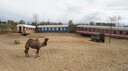 DSC01457.JPG