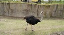 DSC01461.JPG