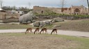 DSC01463.JPG