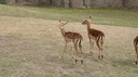 DSC01465.JPG