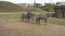 DSC01469.JPG
