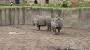 DSC01473.JPG