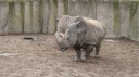 DSC01474.JPG