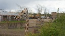 DSC01479.JPG