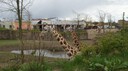 DSC01481.JPG