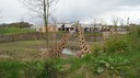 DSC01482.JPG