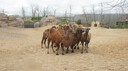 DSC01486.JPG