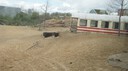 DSC01487.JPG