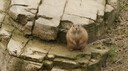DSC01490.JPG
