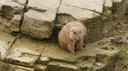 DSC01491.JPG