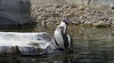 DSC01504.JPG