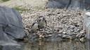 DSC01505.JPG