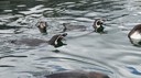DSC01507.JPG