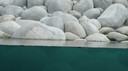 DSC01513.JPG