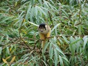 DSC01380.JPG
