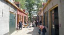 DSC04411.jpg