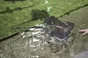 2010_DSC03805.JPG