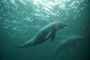 2010_DSC03832.JPG