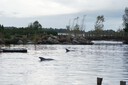 2010_DSC03854.JPG