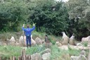 2007_DSC01441.JPG