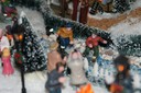 DSC08480.JPG