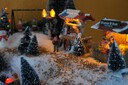 DSC09359.JPG