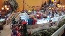 20151116_140319.JPG